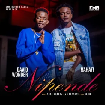 Nipende With David wonder cover art