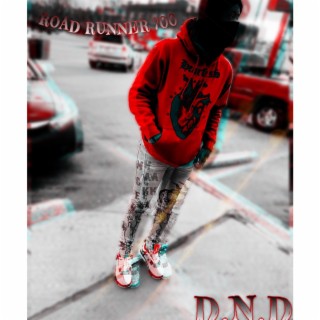 Road Runner 700