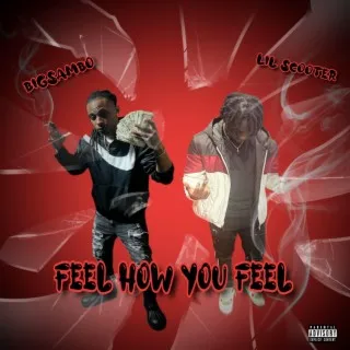 Feel How You Feel ft. Lil Scooter cover art