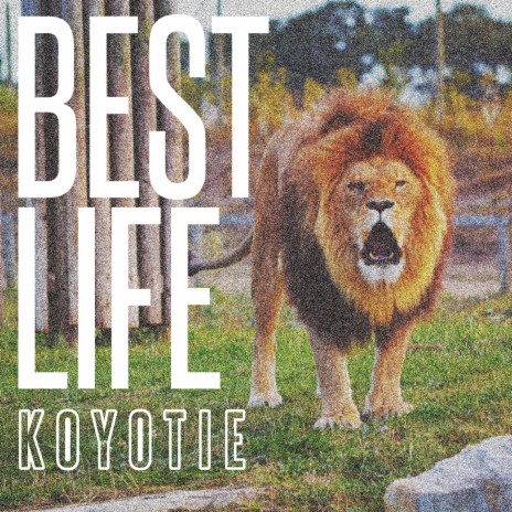 Best Life cover art