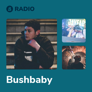 Bushbaby Radio