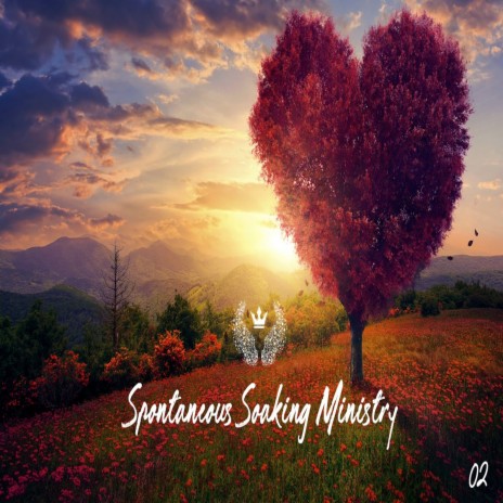Spontaneous Soaking 2 cover art