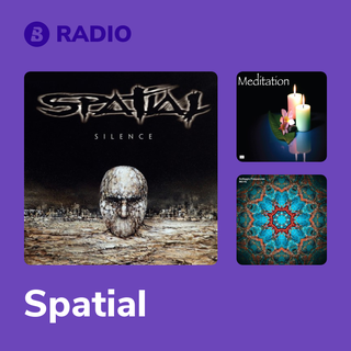 Spatial Radio