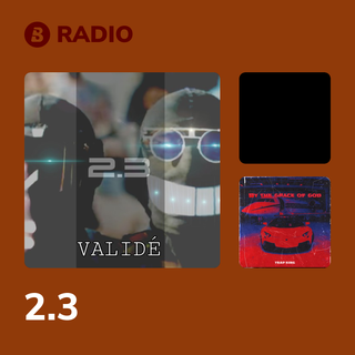 2.3 Radio