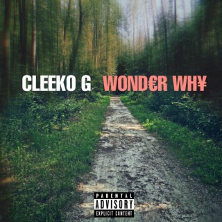 Wonder Why cover art