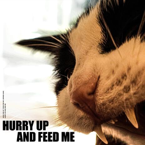 Hurry Up And Feed Me cover art