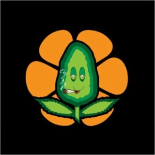 Flower Power