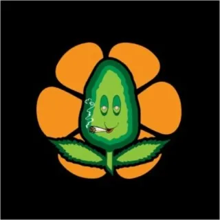 Flower Power cover art