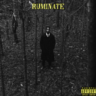 RUMINATE