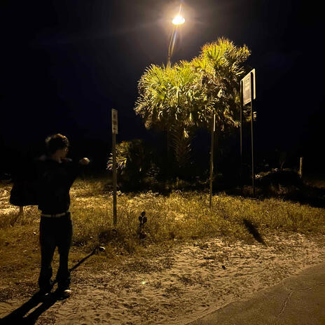 bluff cover art
