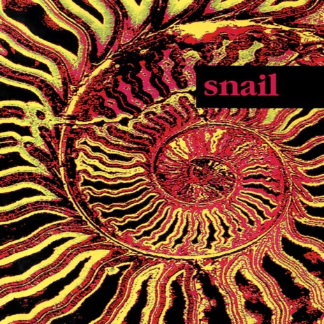 Confessions cover art