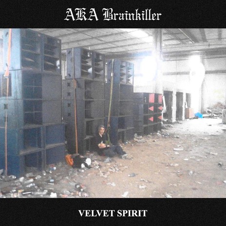 Velvet Spirit cover art