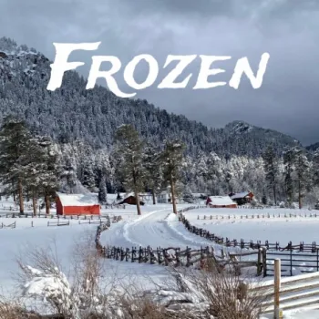 Frozen cover art
