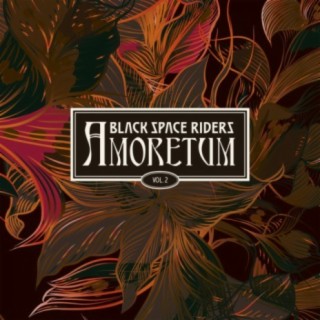 Black Space Riders