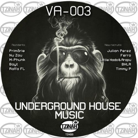 The Playback (Original Mix)