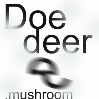 doe deer