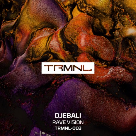 Rave Vision (Radio Edit) cover art
