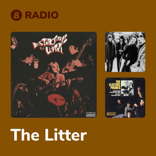 The Litter Radio