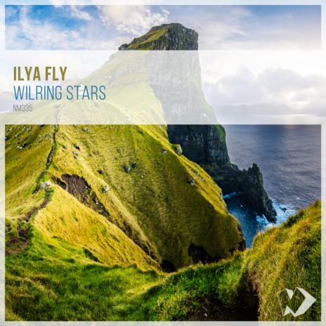 Wilring Stars (Radio Edit) cover art