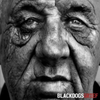Black Dogs