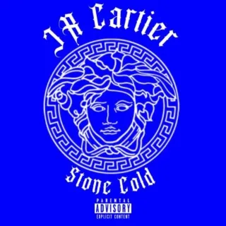 Stone Cold cover art