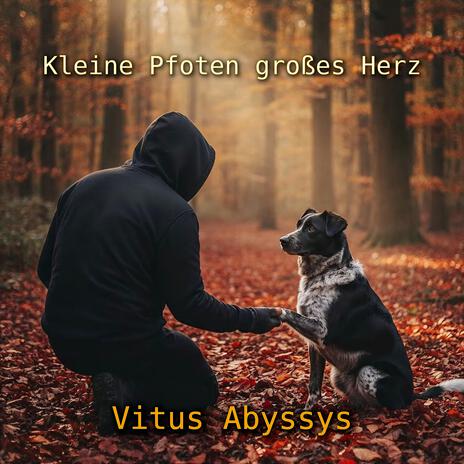 Kleine Pfoten großes Herz