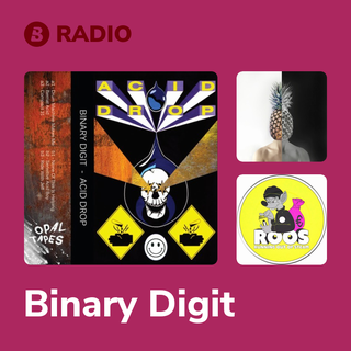 Binary Digit Radio