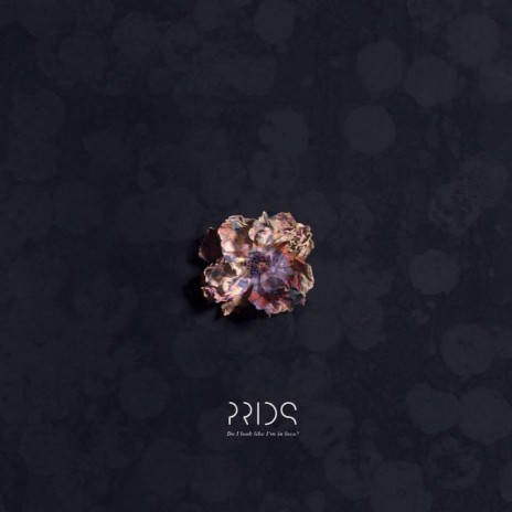 Colliding cover art