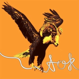 A.O.K.