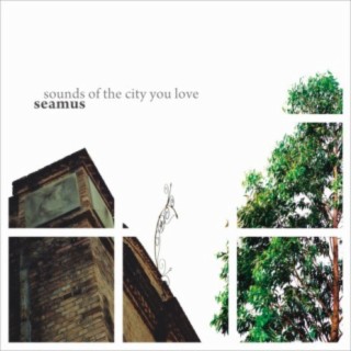 Sounds of the City You Love
