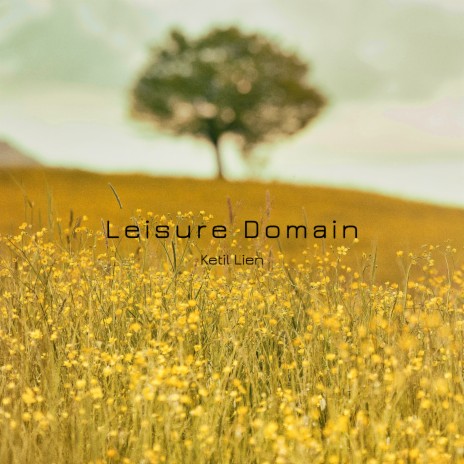 Leisure Domain cover art
