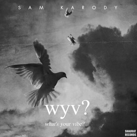 wyv? (what's your vibe?) cover art