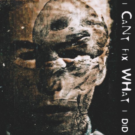 I Can't Fix What I Did ft. Fried By Fluoride cover art