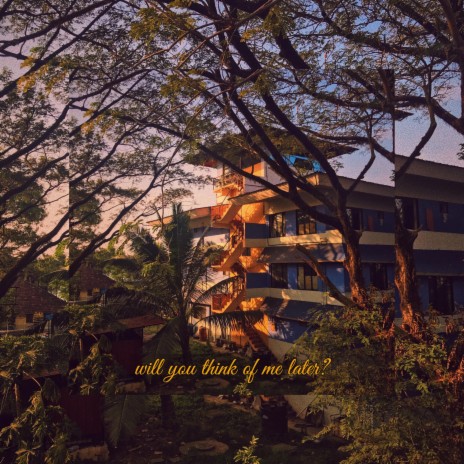 Everything Is Aesthetic