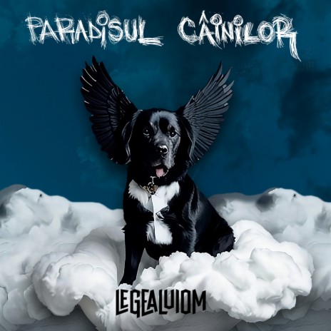 Produsul Meu cover art