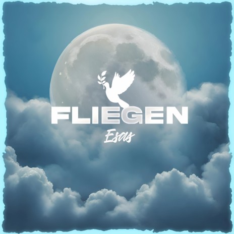 Fliegen cover art