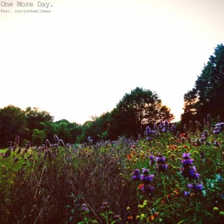 ONE MORE DAY ft. curtisthemilkman cover art