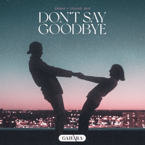 Don't Say Goodbye ft. Sound Skip cover art
