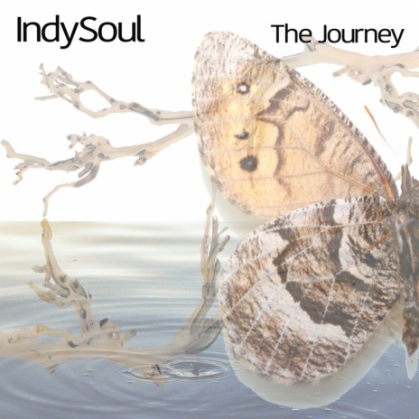 In The Spotlight (Original Mix) cover art