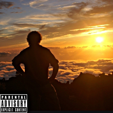 Стою на своём cover art