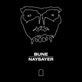 Naysayer