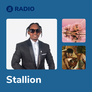 Stallion Radio