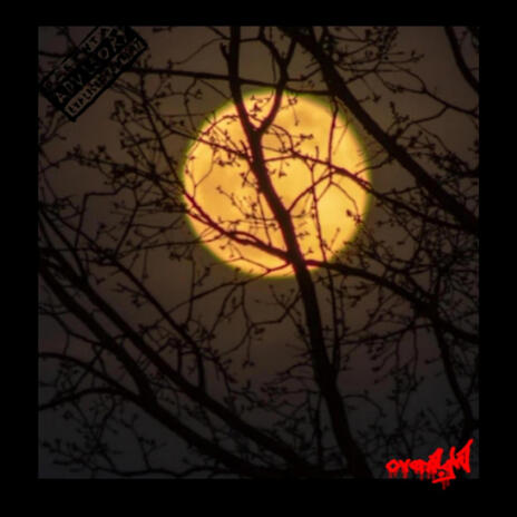 overn!ghT cover art