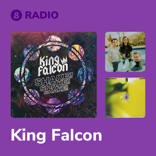 King Falcon Radio