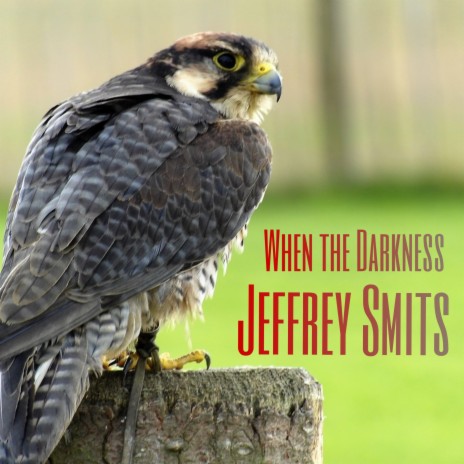 My Own Soul's Warning cover art