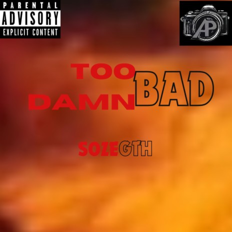 Too Damn Bad cover art