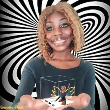 Let Me Fly cover art