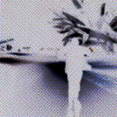 Loarge favors cover art