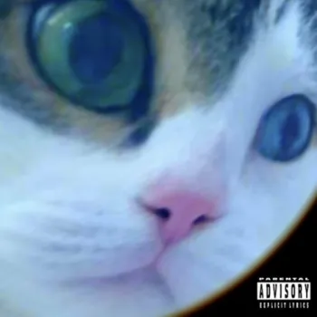 Reese's Butter Pieces / It's Catsy! (FunkMedley Remix) cover art