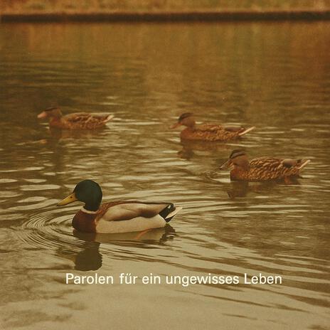 Neulich am ReWe cover art